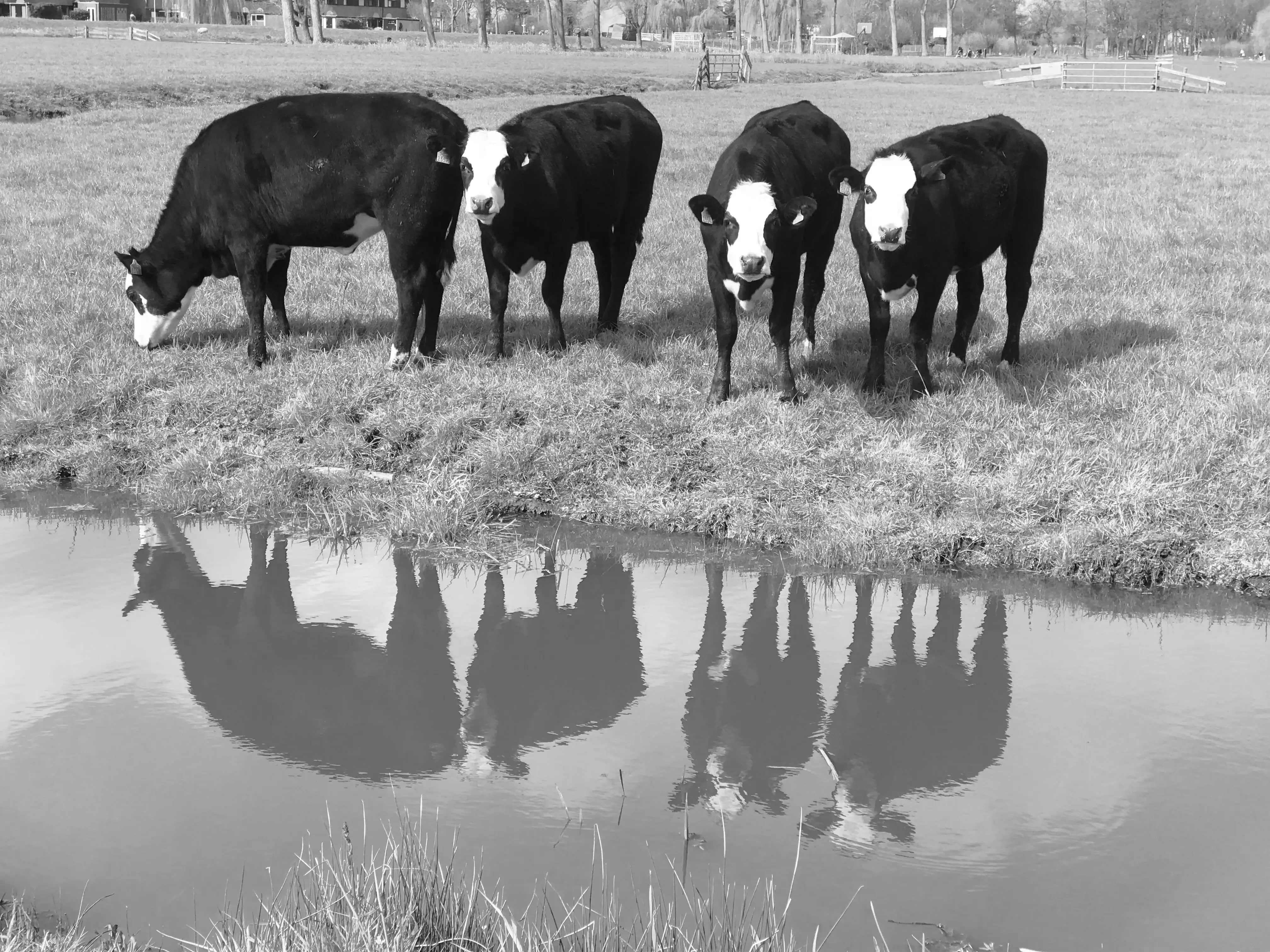 Zakelijk sparen zzp: een buffer voor de stille maanden